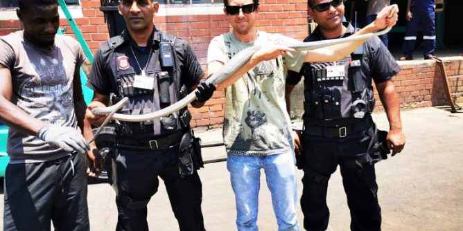 Members of Reaction Unit SA and snake catcher Jason Arnold removed a 2.4m black mamba from a factory in Durban.