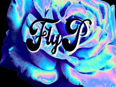 Fly P » Every Night »