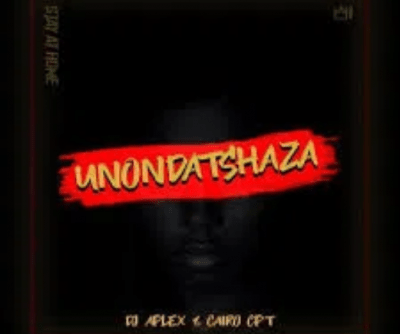 DJ Aplex Unondatshaza Mp3 Download