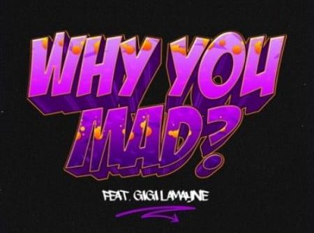 DJ Zan D – Why You Mad Ft. Gigi Lamayne mp3 download