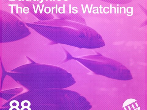 Buddynice - The World Is Watching - Single
