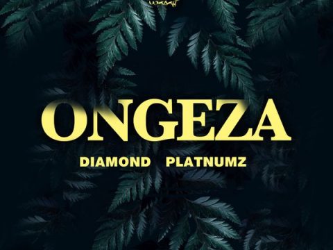 Diamond Platnumz Ongeza