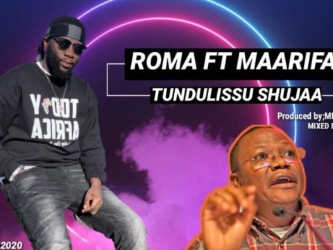 DOWNLOAD MP3 Roma Mkatoliki - Tundulissu Shujaa Ft Maarifa