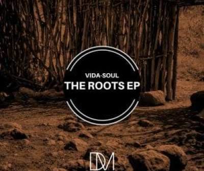 Vida-Soul The Roots Ep Download