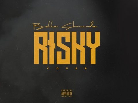 Bella Shmurda - Risky (Cover) Free Mp3 Download