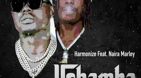 Harmonize Ushamba (Remix)