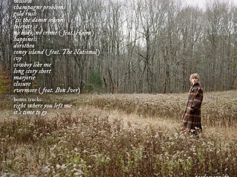 Taylor Swift willow (lonely witch version) Mp3 Download
