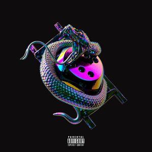 Chip - Snakes and Ladders (Album)