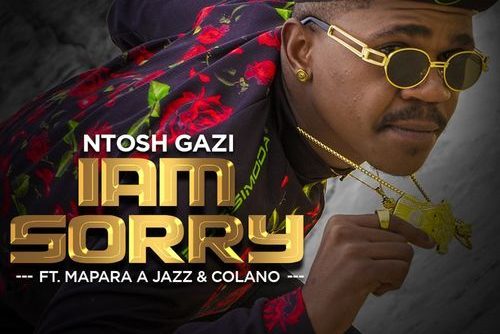 Ntosh Gazi - Iam Sorry Ft. Mapara A Jazz, Calona
