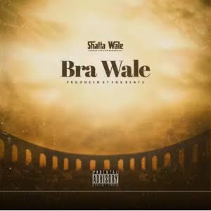 Shatta Wale - Drive By mp3