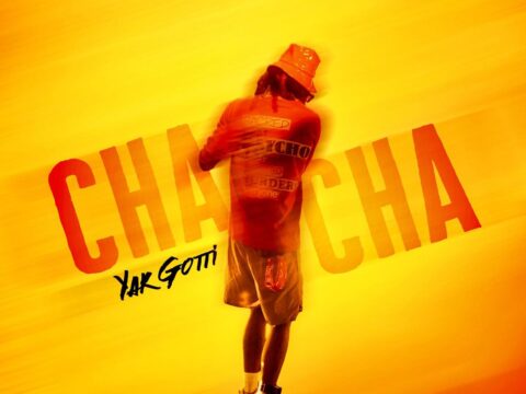 Yak Gotti & Young Stoner Life - Cha Cha Slide mP3