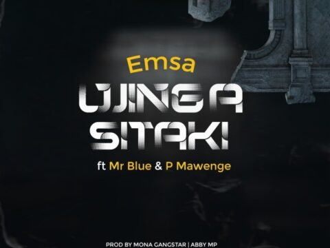 Emsa Ft. Mr. Blue & Pmawenge - Ujinga Sitaki