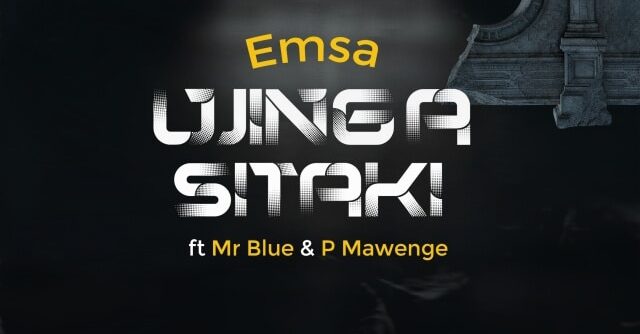 Emsa Ft. Mr. Blue & Pmawenge - Ujinga Sitaki