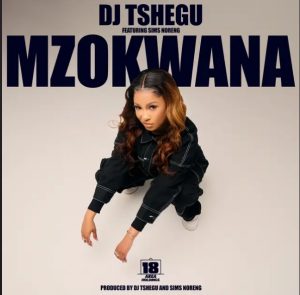 DJ Tshegu – Mzokwana