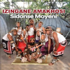 Izingane Amakhosi – Niyabizwa